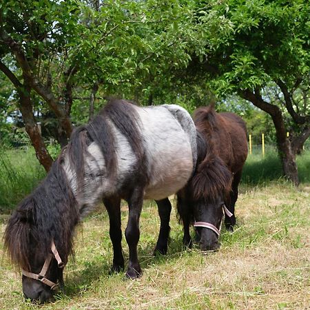 Fewo Naehe Seenlandschaft - Belantis Leipzig Eksteriør billede