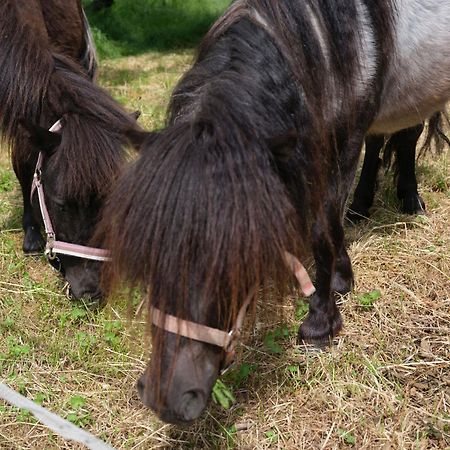Fewo Naehe Seenlandschaft - Belantis Leipzig Eksteriør billede